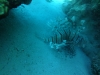 DSC01000.jpg