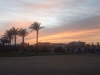 DSC01098.jpg