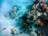 DSC01149.jpg