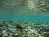 DSC01168.jpg
