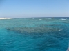 IMG_2358.jpg